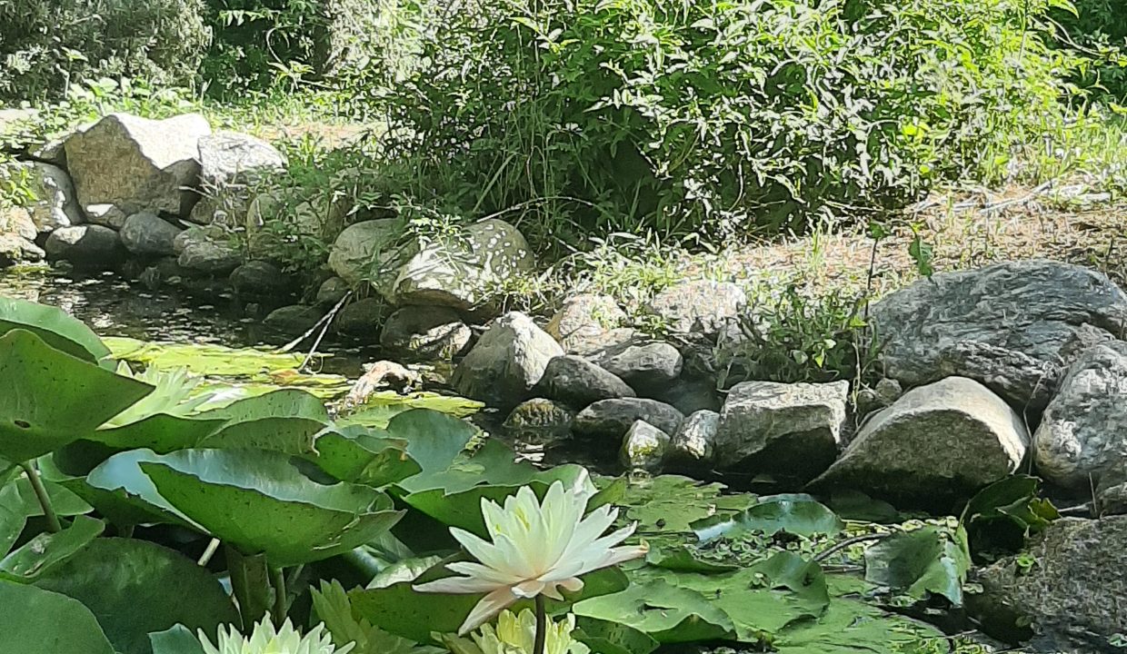 14_patio